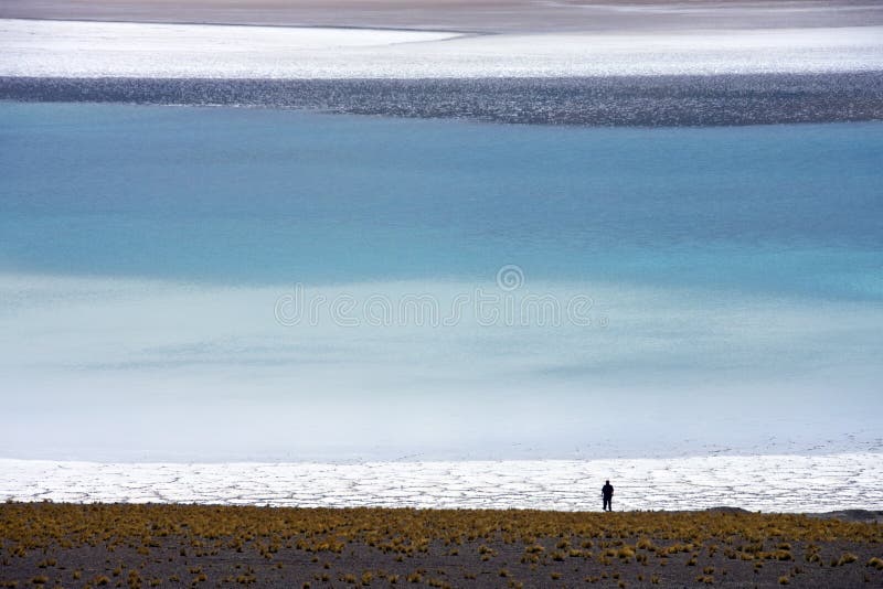 Laguna sale appartamenti visualizzato attraverso Calore herpes deserto settentrionale.