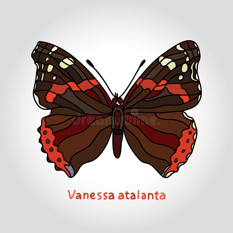 Atalanta van vlindervanessa Vector illustratie stock illustratie Atalanta van vlindervanessa Vector illustratie stock illustratie