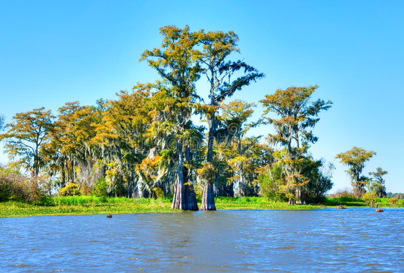 The Atchafalaya Basin Bridge and the Interstate 10 (I10) Highway Over