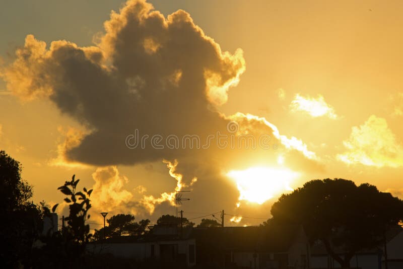 atemberaubender Schuss des goldenen Himmels mit Wolken während des Sonnenuntergangs und Silhouetten von Bäumen unter lizenzfreies stockbild atemberaubender Schuss des goldenen Himmels mit Wolken während des Sonnenuntergangs und Silhouetten von Bäumen unter lizenzfreies stockbild