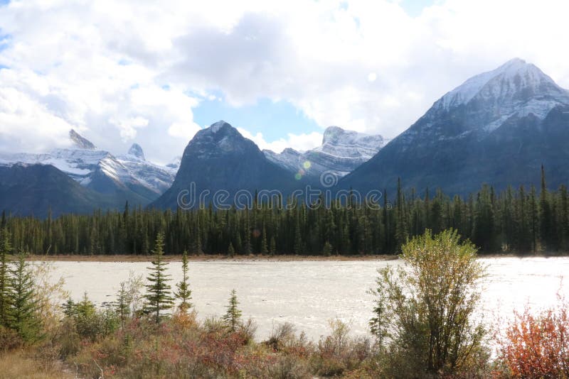Athabasca brzeg rzeki zdjęcia royalty free Athabasca brzeg rzeki zdjęcia royalty free