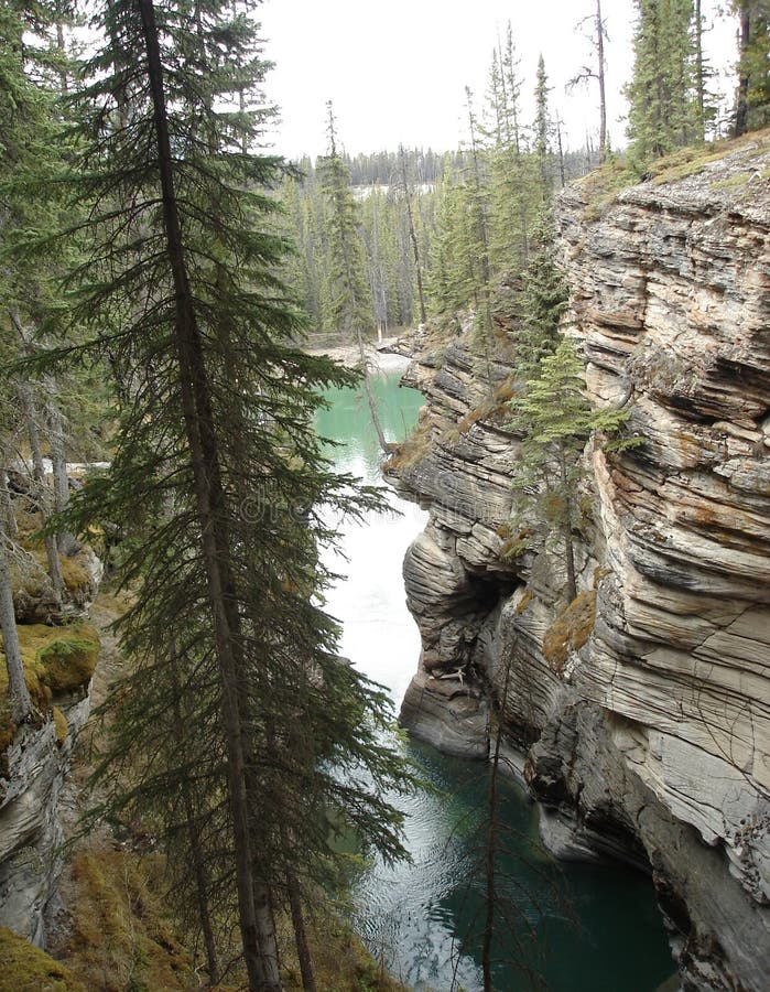 Athabasca canyon