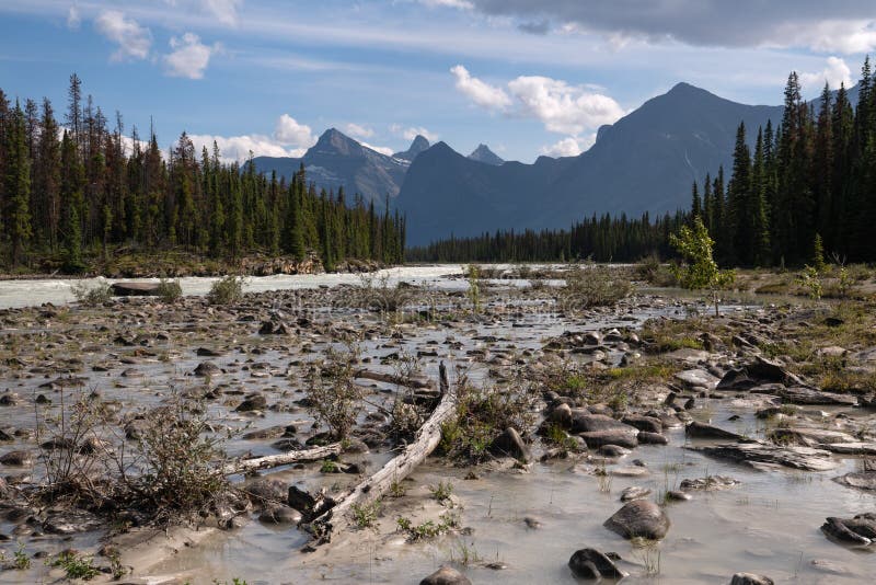 Athabasca River, Jasper National Park, Rocky Mountains, Alberta, Canada stock image Athabasca River, Jasper National Park, Rocky Mountains, Alberta, Canada stock image