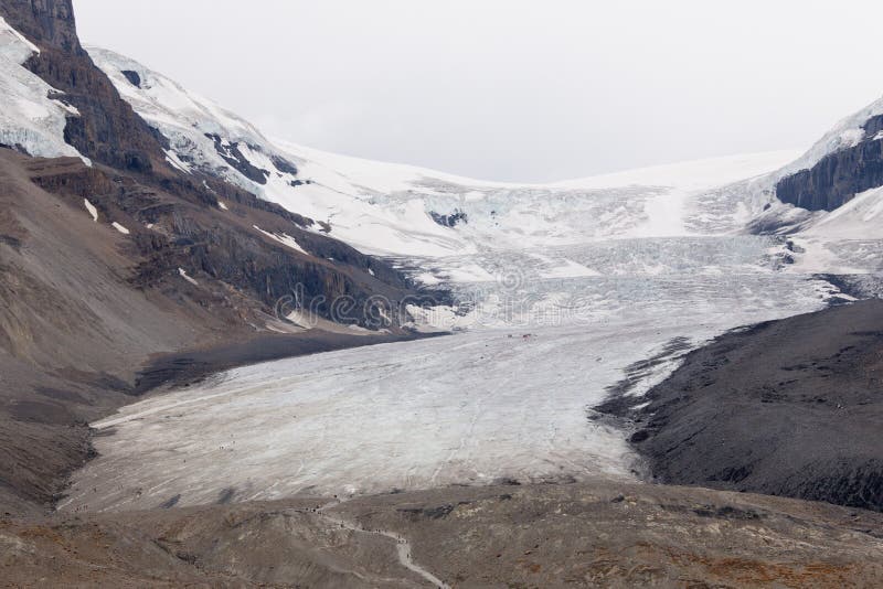 Athabascagletsjer, Colombia Icefield stock foto's Athabascagletsjer, Colombia Icefield stock foto's