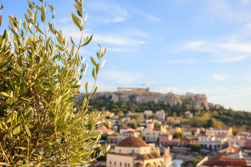 Athens, Greece. Olive tree on Acropolis and Monastiraki abstract background