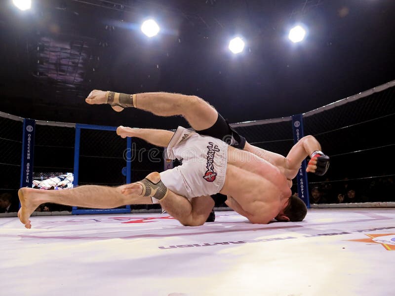 Athletes in the Octagonal Ring for Fights Extreme Sport Mixed Martial