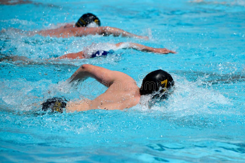 Athletes swimming freestyle on a swimming pool