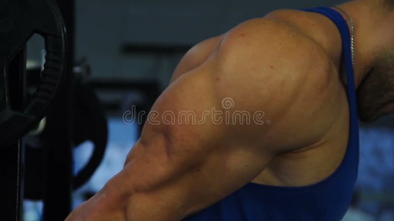 Athlète masculin musculaire s'étirant avant la formation, bras massifs de bodybuilder