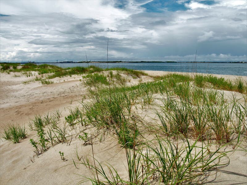 Atlantic Beach Dunes