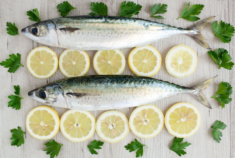 Atlantic mackerel stock image. Image of diet, lemon, fish 73645495