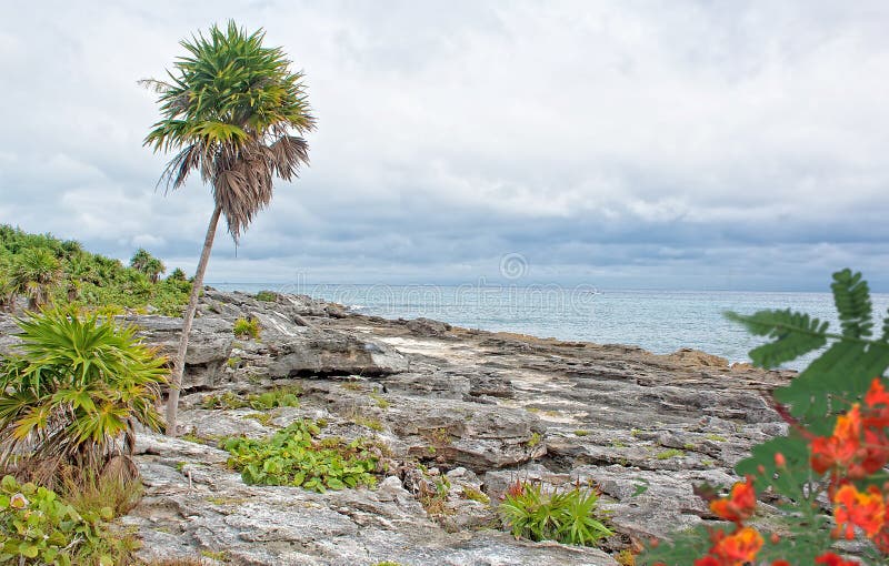 Atlantic Ocean from a Mexican Resort Stock Photo Image of tropic