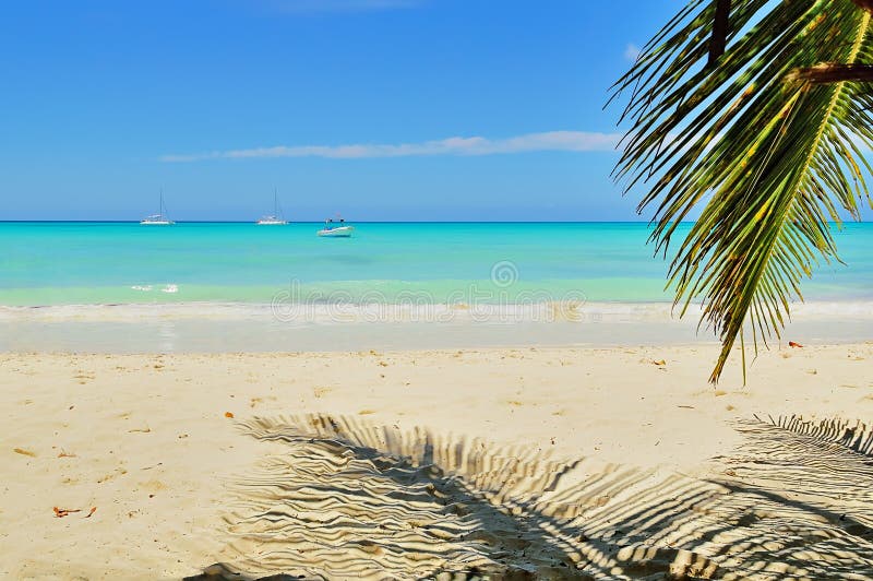 Atlantischer Strand, Palme, Sand, Schiffe im Ozean, gegen den blauen Himmel und die Wolken lizenzfreies stockbild Atlantischer Strand, Palme, Sand, Schiffe im Ozean, gegen den blauen Himmel und die Wolken lizenzfreies stockbild
