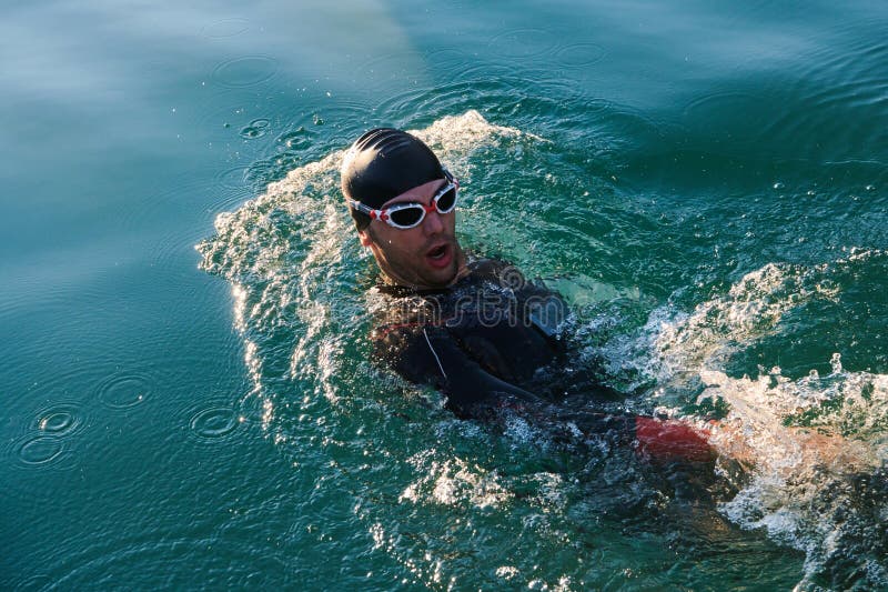 Atleta de triatlón nadando en el lago al amanecer usando traje húmedo fotos de archivo libres de regalías