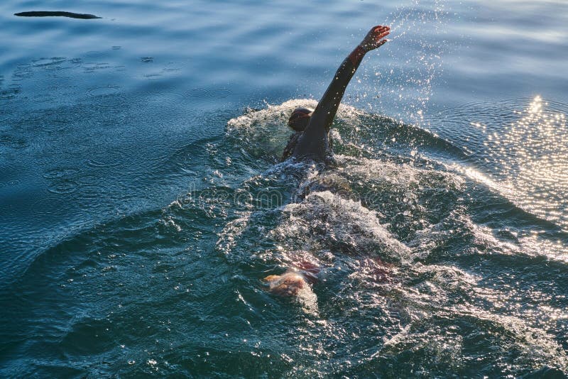 Atleta de triatlón nadando en el lago al amanecer usando traje húmedo foto de archivo libre de regalías