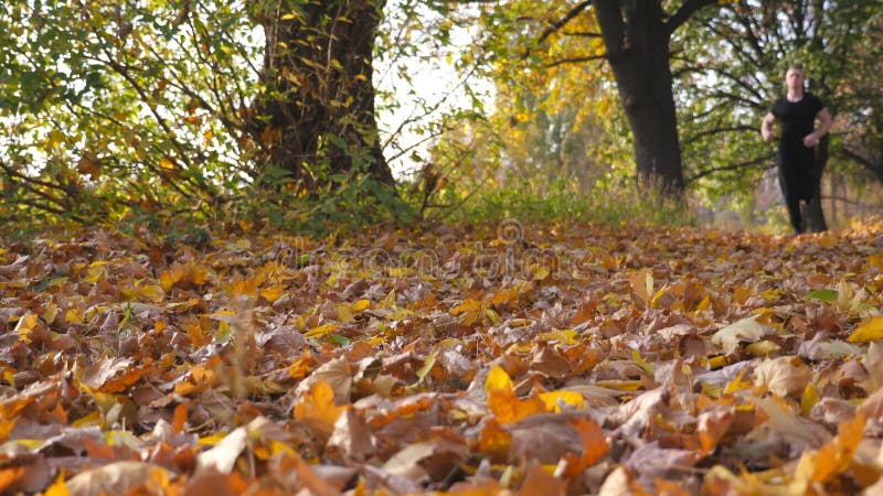 Atleta maschio che corre nel parco autunnale frantumando le foglie di acero secco. tirocinio sportivo in natura. corse in corso