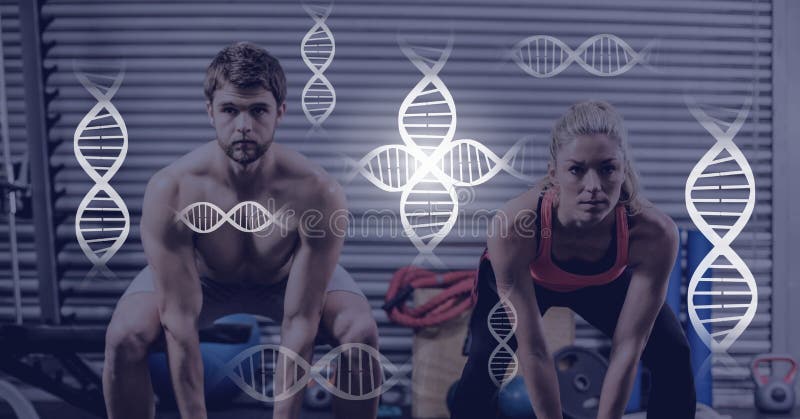 Atletisch geschikt paar in gymnastiek met genetische biologieinterface royalty-vrije stock fotografie Atletisch geschikt paar in gymnastiek met genetische biologieinterface royalty-vrije stock fotografie