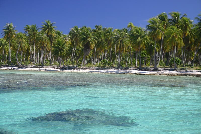 Atoll Rangiroa dans la Polynésie française photo stock Atoll Rangiroa dans la Polynésie française photo stock