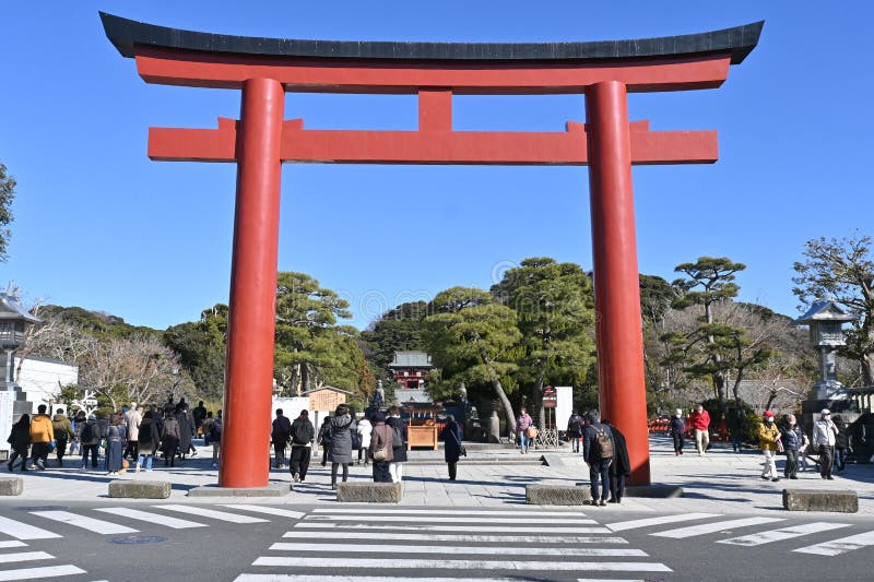 Tourist attractions in Japan Kamakura â€™Tsurugaoka Hachimangu shrineâ€™ This is famous as a shrine related to Minamoto no Yoritomo, the first shogun of Kamakura Shogunate. Tourist attractions in Japan Kamakura â€™Tsurugaoka Hachimangu shrineâ€™ This is famous as a shrine related to Minamoto no Yoritomo, the first shogun of Kamakura Shogunate.