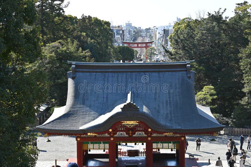 Tourist attractions in Japan Kamakura â€™Tsurugaoka Hachimangu shrineâ€™ This is famous as a shrine related to Minamoto no Yoritomo, the first shogun of Kamakura Shogunate. Tourist attractions in Japan Kamakura â€™Tsurugaoka Hachimangu shrineâ€™ This is famous as a shrine related to Minamoto no Yoritomo, the first shogun of Kamakura Shogunate.