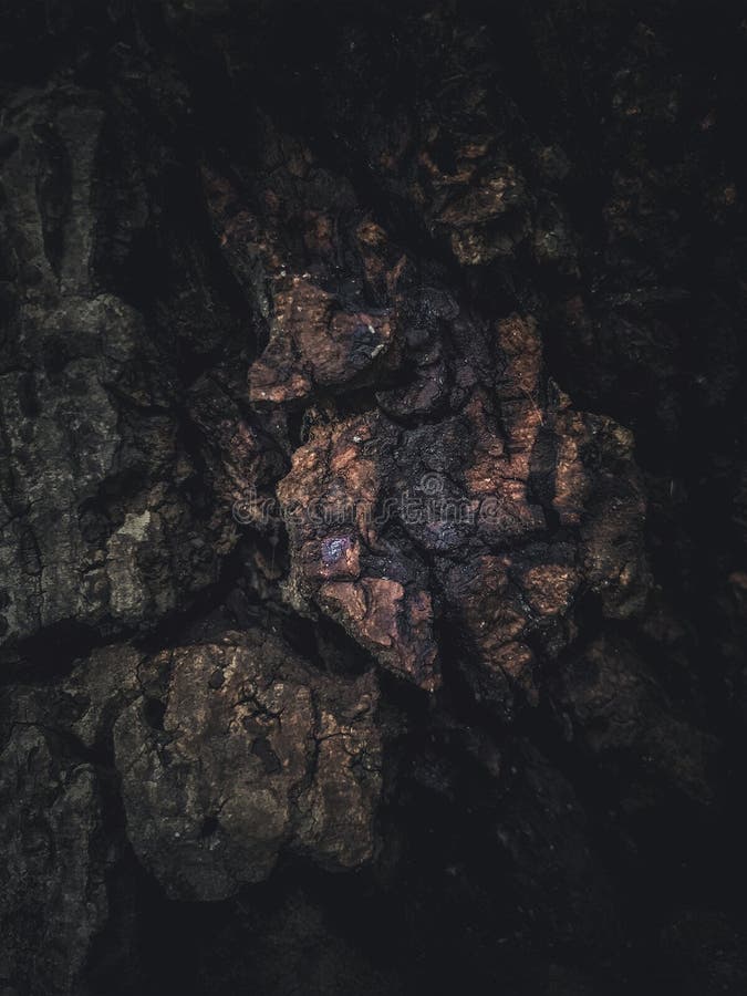 Att naturen skapas arkivfoto