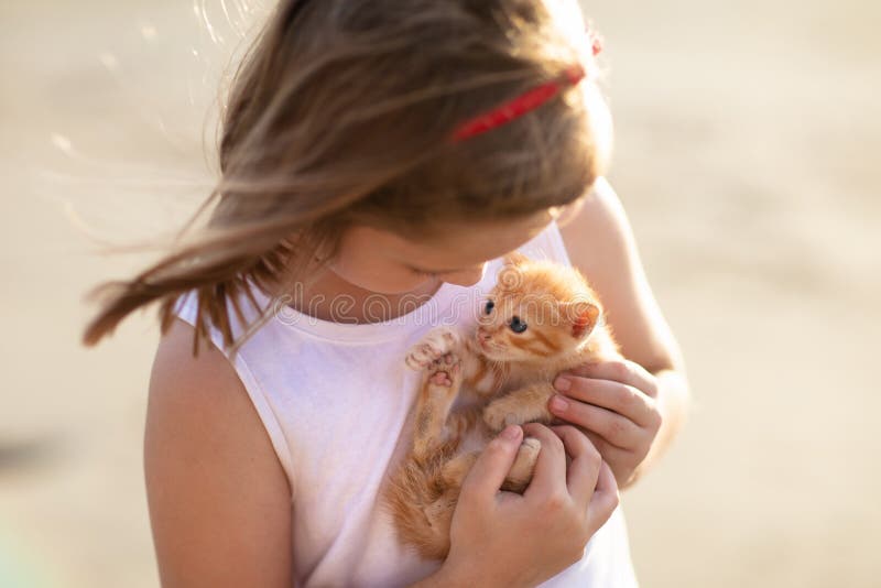 Att rymma f?r liten flicka behandla som ett barn katten Ungar och husdjur fotografering för bildbyråer Att rymma f?r liten flicka behandla som ett barn katten Ungar och husdjur fotografering för bildbyråer