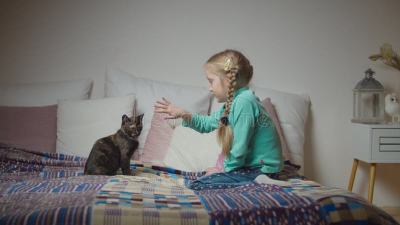 Att ta hand om små flickor och leka med katt på sängen arkivfilmer