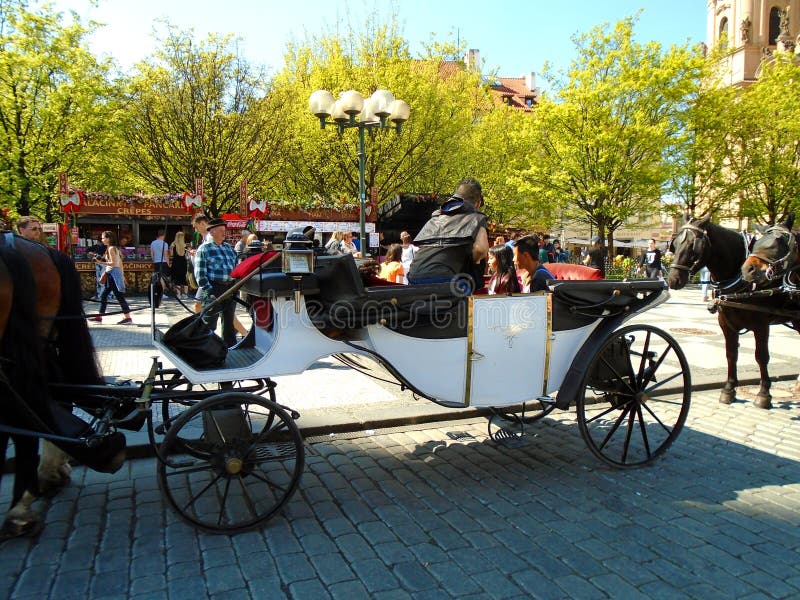 Attached horses at Prague`s Old Town Square