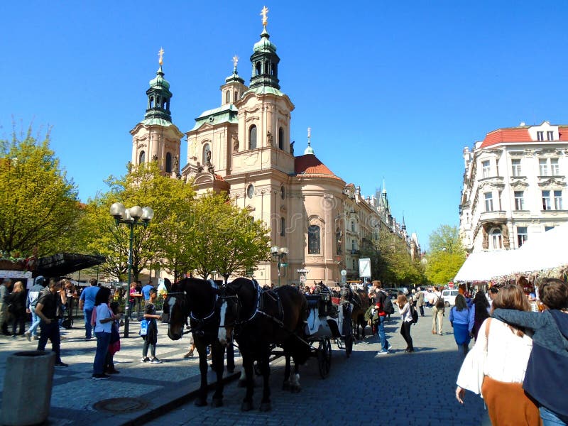 Attached horses at Prague`s Old Town Square