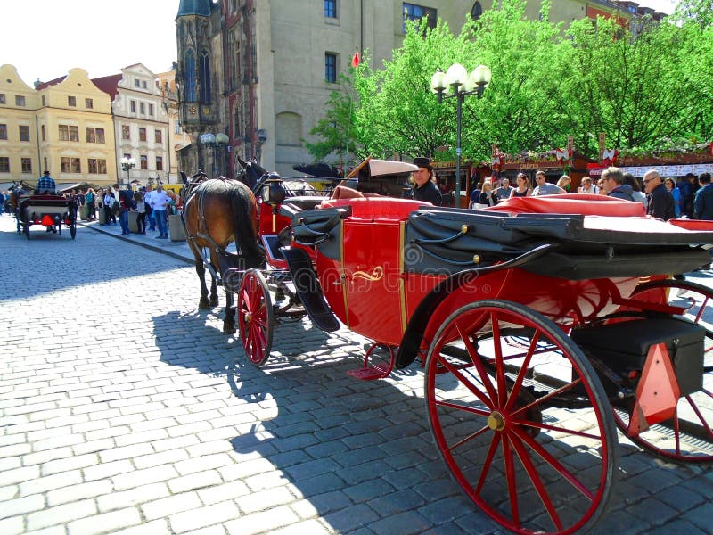 Attached horses at Prague`s Old Town Square