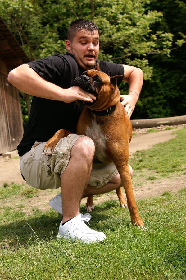 Un uomo viene attaccato da un cane boxer, leggera sfocatura in movimento in faccia per mostrare il movimento in attacco.