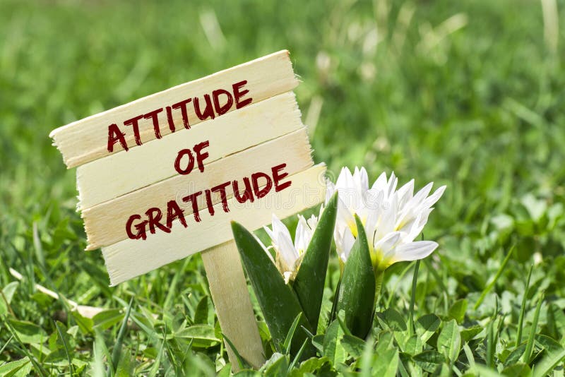 Attitude of gratitude