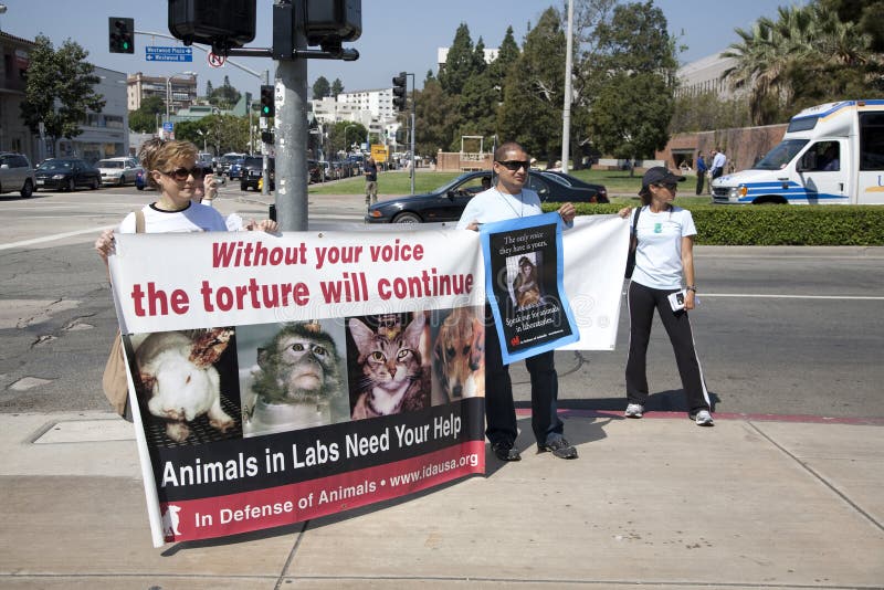 Attivisti di diritti degli'animali al UCLA fotografia stock libera da diritti Attivisti di diritti degli'animali al UCLA fotografia stock libera da diritti