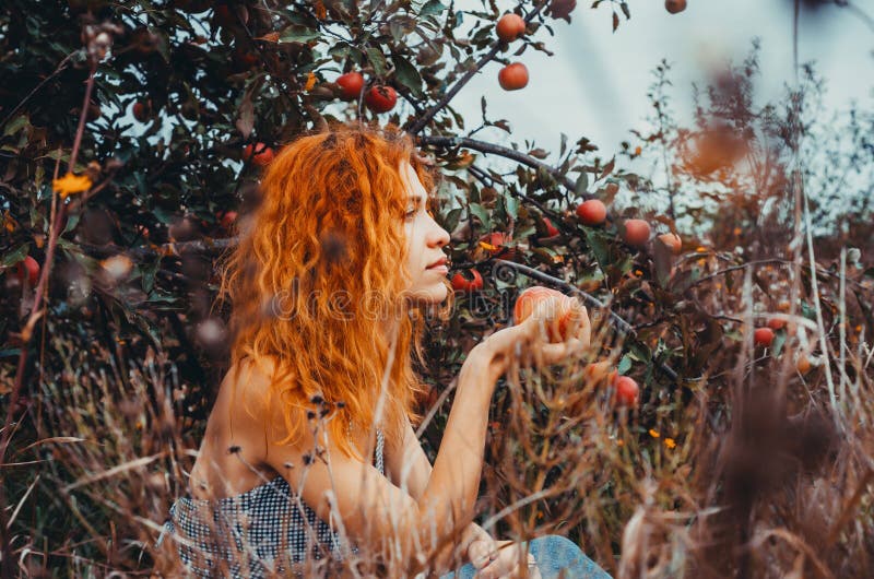 Attractive beautiful red-haired young woman with blue eyes holding an apple.Side view. Autumn apple orchard
