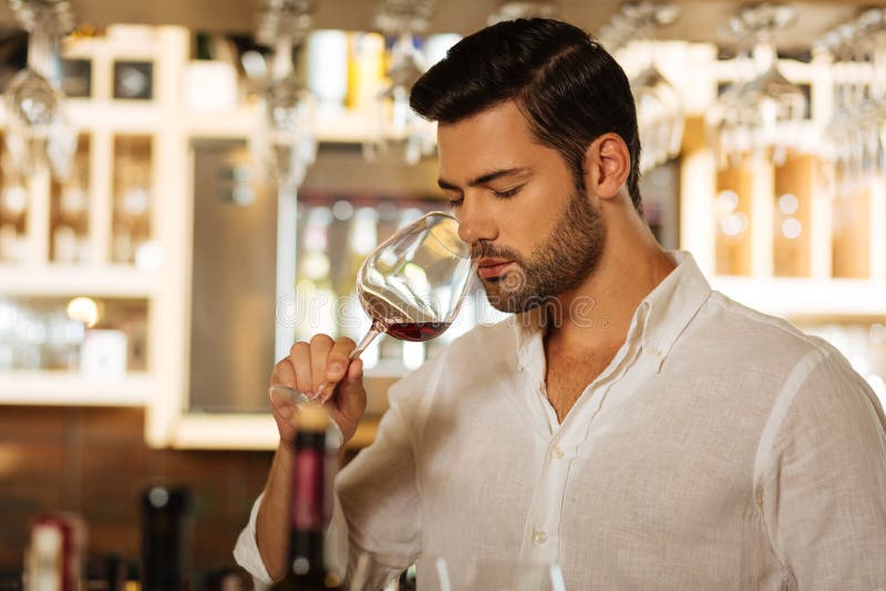 Attractive Good Looking Man Smelling the Wine Stock Image - Image of ...