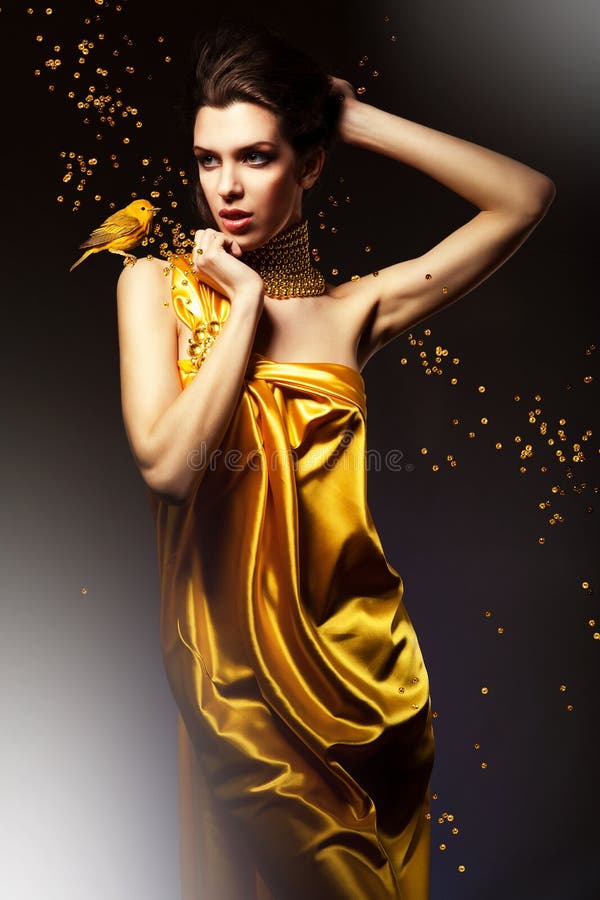 Attractive Woman in Yellow Dress Stock Image - Image of glamour, bird ...