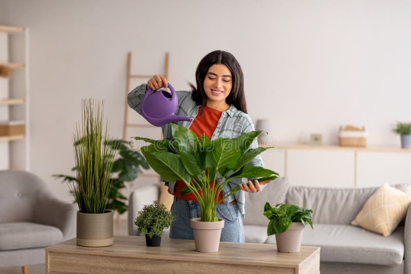 Attractive Young Arab Lady Watering Green Houseplants in Living Room