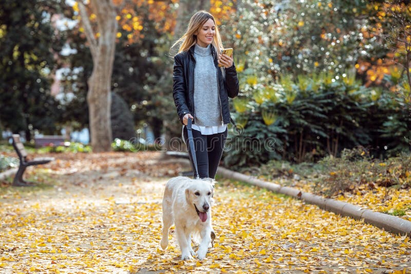 Attractive young woman walking with her lovely golden retriever dog while using her smart phone in the park in autumn