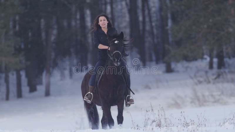 Attraktiv longhaired kvinnlig ryttare som rider en svart häst till och med drivorna i vinterfältet royaltyfri bild