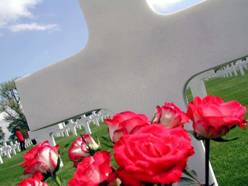 Attraversi con le rose sul cimitero americano olandese in Margraten immagini stock