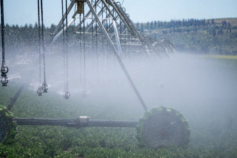 Attrezzatura di irrigazione sul campo dell'azienda agricola il giorno soleggiato fotografie stock libere da diritti Attrezzatura di irrigazione sul campo dell'azienda agricola il giorno soleggiato fotografie stock libere da diritti