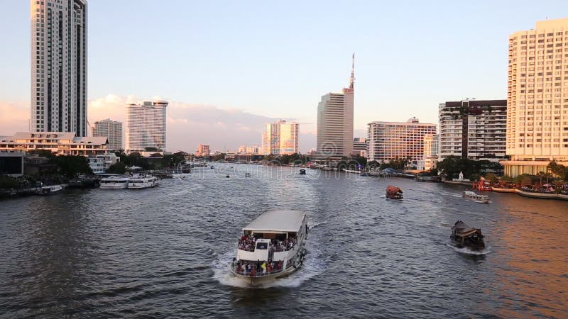 Poisson-chat Géant Sur Le Fleuve Chao Phraya. De Sanitwongsei