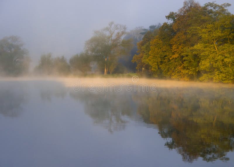 A foggy morning along a pond in early autumn. A foggy morning along a pond in early autumn