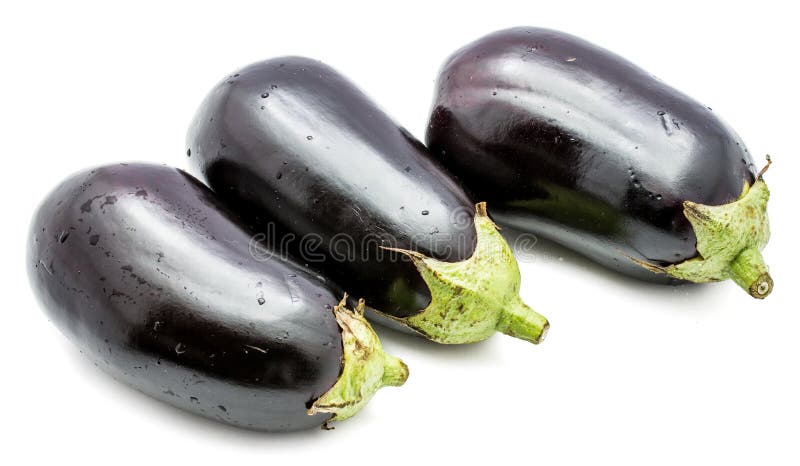 aubergine arkivbilder aubergine arkivbilder