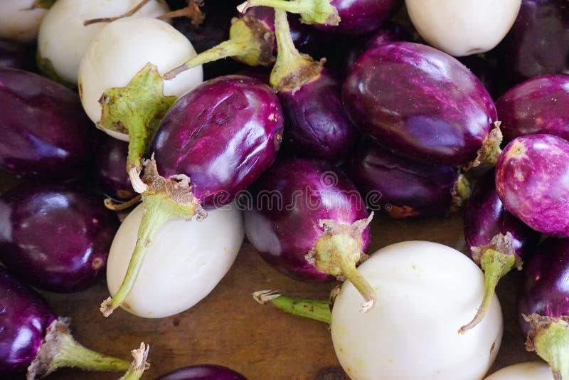 aubergine stock afbeelding aubergine stock afbeelding