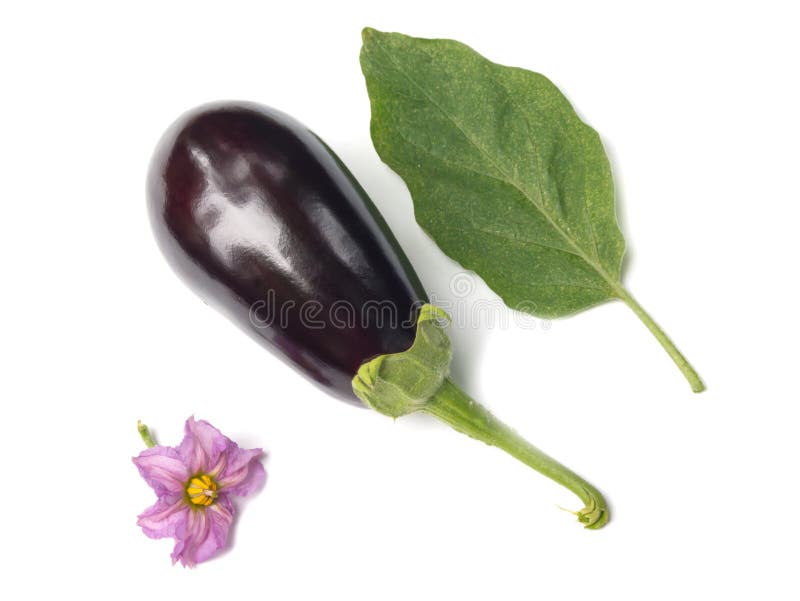 Aubergine stock image. Image of eating, vegetables, health 43963595