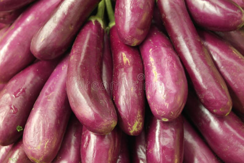 1,543 Photos de Aubergine Sauvage Photos de stock gratuites et libres de droits de Dreamstime