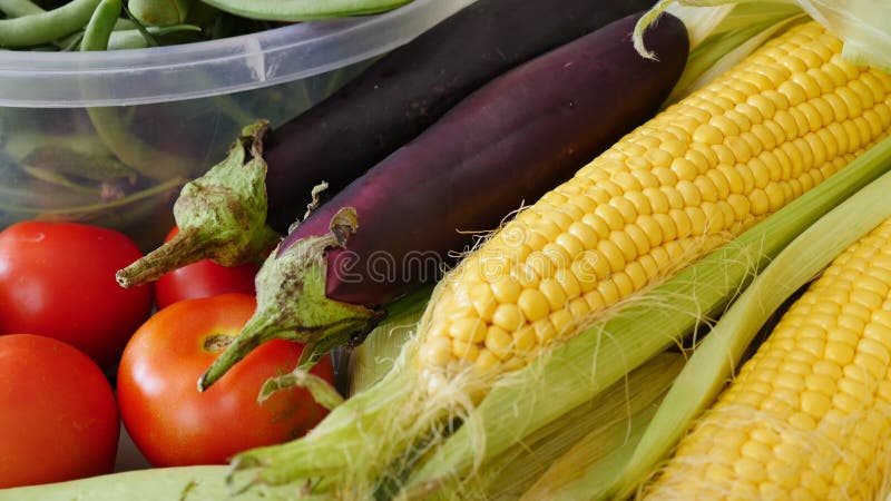 Aubergines naturelle etc. de tomates de haricot vert de maïs de légumes du jardin d'allinone banque de vidéos