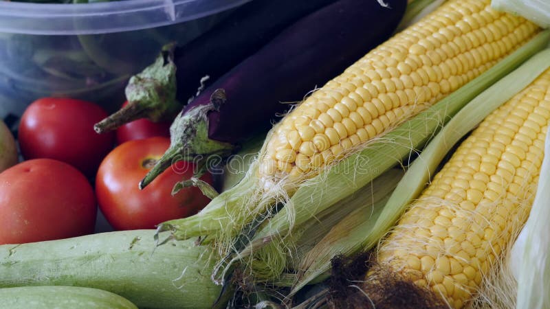 Aubergines naturelle etc. de tomates de haricot vert de maïs de légumes du jardin d'allinone clips vidéos