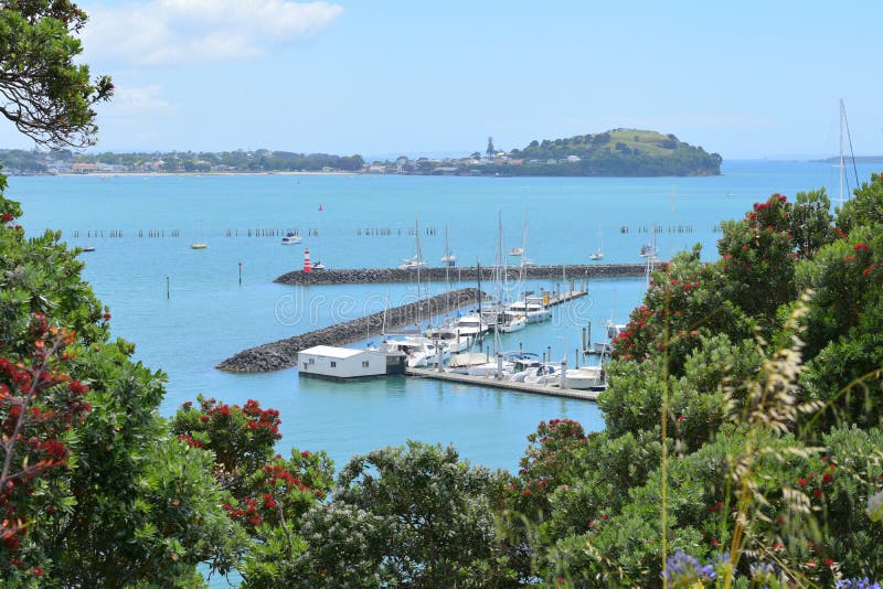 akarana yacht club auckland