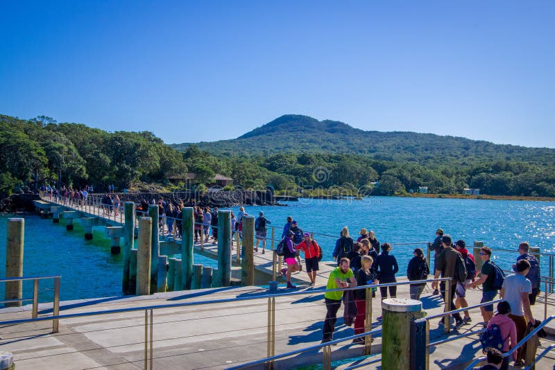 AUCKLAND, NUEVO SELANDIA 12 DE MAYO DE 2017: Muchedumbre no identificada de gente sobre un muelle en la isla de Rangitoto, golfo imagen de archivo AUCKLAND, NUEVO SELANDIA 12 DE MAYO DE 2017: Muchedumbre no identificada de gente sobre un muelle en la isla de Rangitoto, golfo imagen de archivo